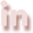 linkedIn social icon